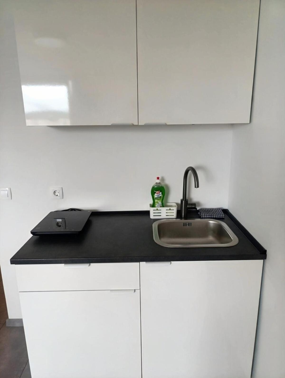 Renovated For Four Apartma Ljubljana