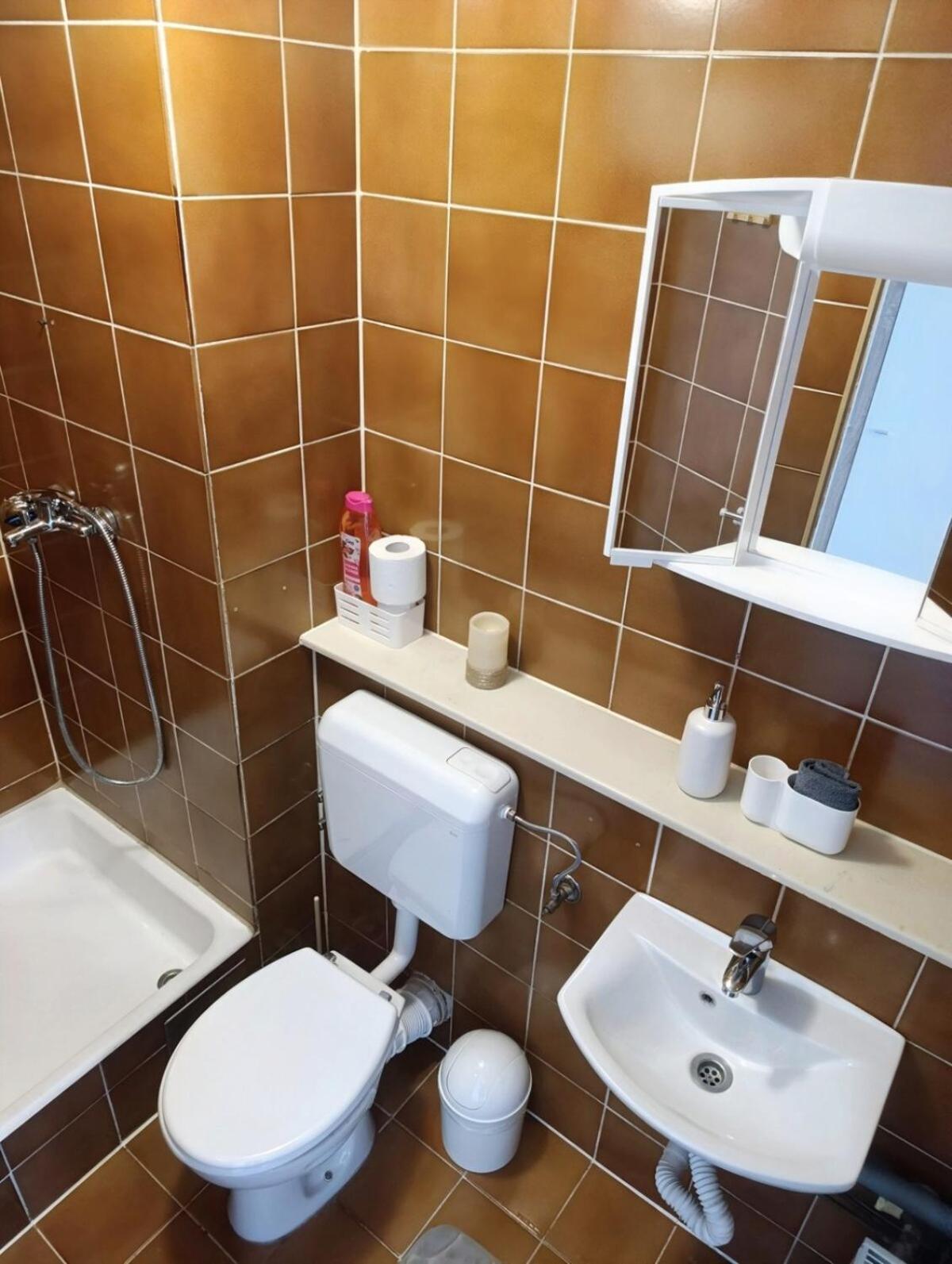 Renovated For Four Apartma Ljubljana